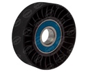 POLEA LOCA MOTOR LISA VW BORA, A4 POLTEK 101091