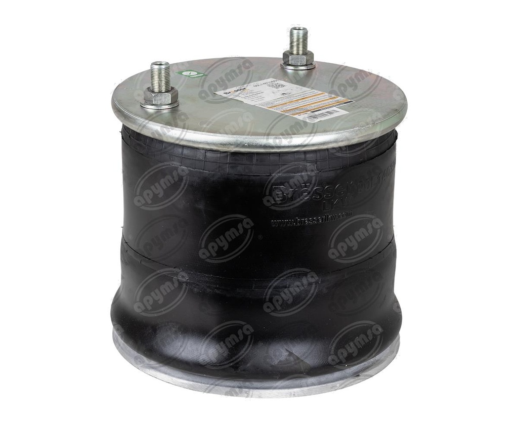 BOLSA DE AIRE HENDRICKSON WATSON & CHALLIN, INTERNATIONAL DAYTON (HAE)