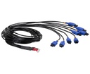 CABLE ADAPTADOR 8 LINEAS NUEVO DISEÑO TECNOFUEL-EFI 8 PULSE CABLE (BLUE) (HAE)
