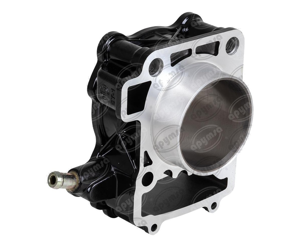 CILINDRO COMPLETO PULSAR NS 200, AS 200 (HAE)