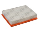 FILTRO AIRE   PEUGEOT 206 CC X LINE XS XT XR 4CIL 04-07 INTERFIL F-14A06  (HAE)