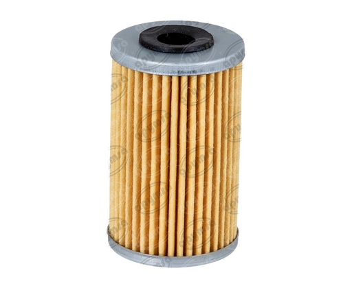 [GT5920138] FILTRO DE ACEITE   NS 200 BIKALL J6021490043