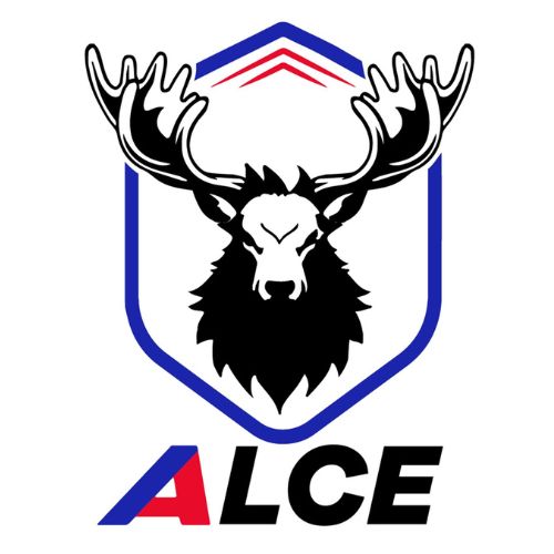 Asesor Comercial Apymsa GT