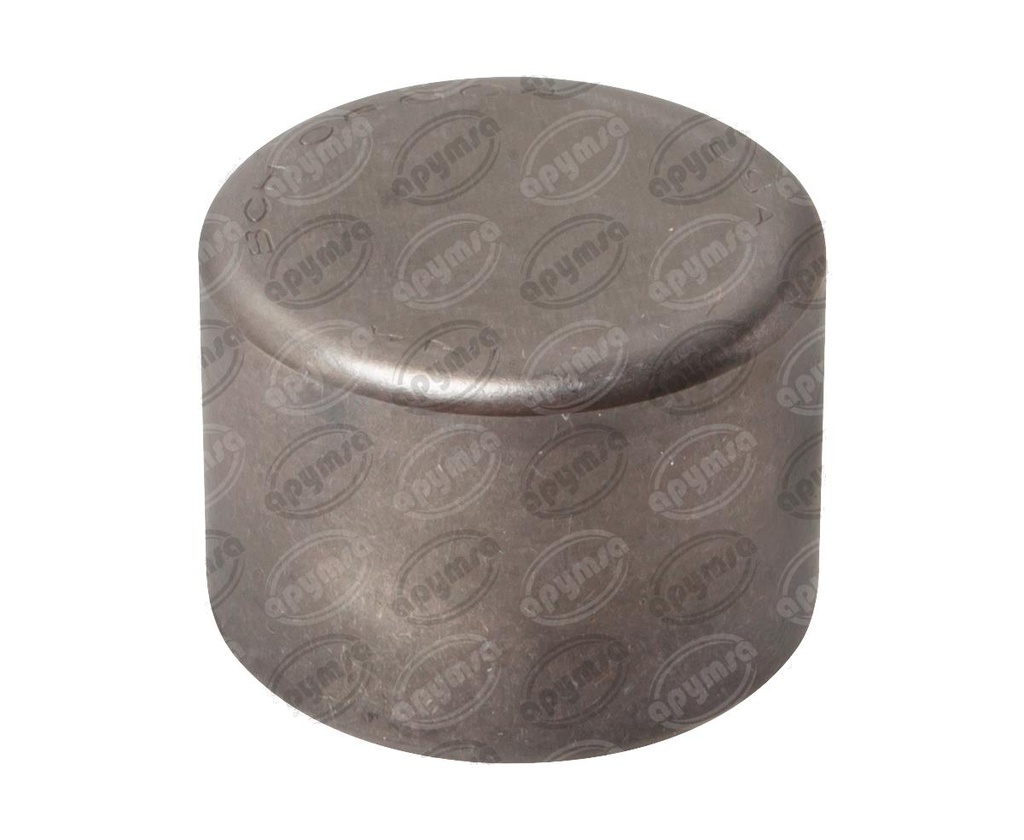 RODILLO ALTERNADOR DELCO, FORD PRESTOLITE, IMPORTADO 8-101-2  (INO)