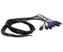 CABLE ADAPTADOR 6 LINEAS NUEVO DISEÑO TECNOFUEL-EFI PULSE SIGNAL CABLE (BLUE)  (HAE)