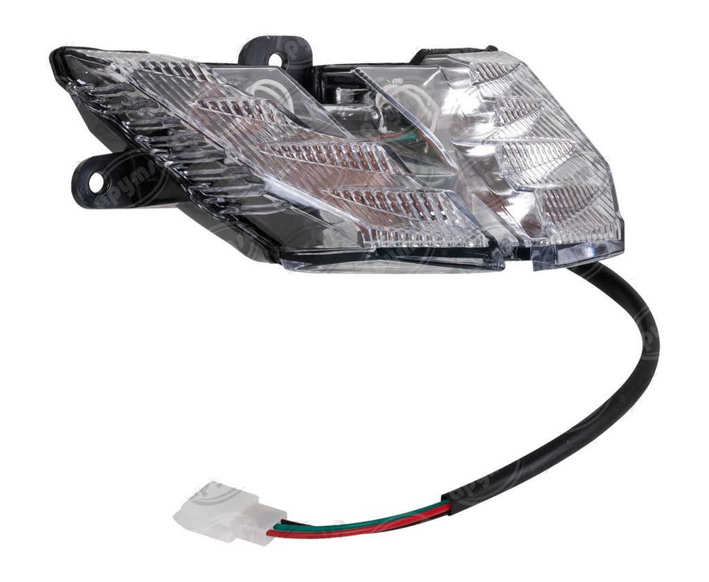 CALAVERA MOTOCICLETA NS 200  (HAE)