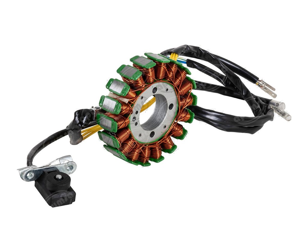 CANASTA MOTOCICLETA 250Z 19-20 IMPORTADO   (HAE)