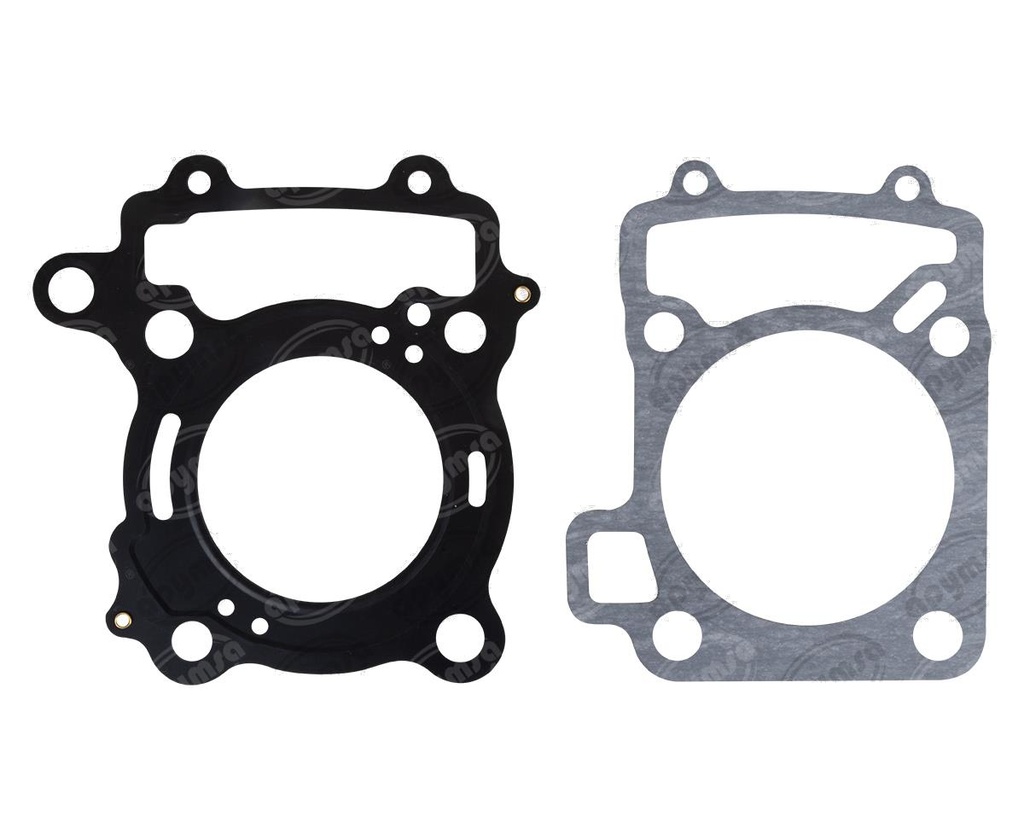 EMPAQUE CILINDRO PULSAR NS 200  (HAE)