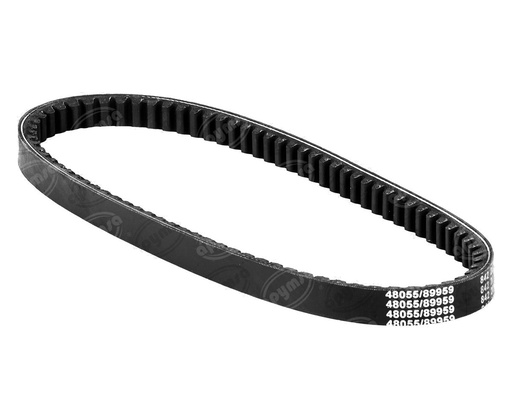 [GT5904678] BANDA TRANSMISIÓN GTS 175, MODENA 175, GTS LED 175 (842-2  (HAE)