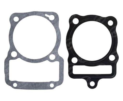 [GT5917687] EMPAQUE CILINDRO DM 200, DM 150  (HAE)